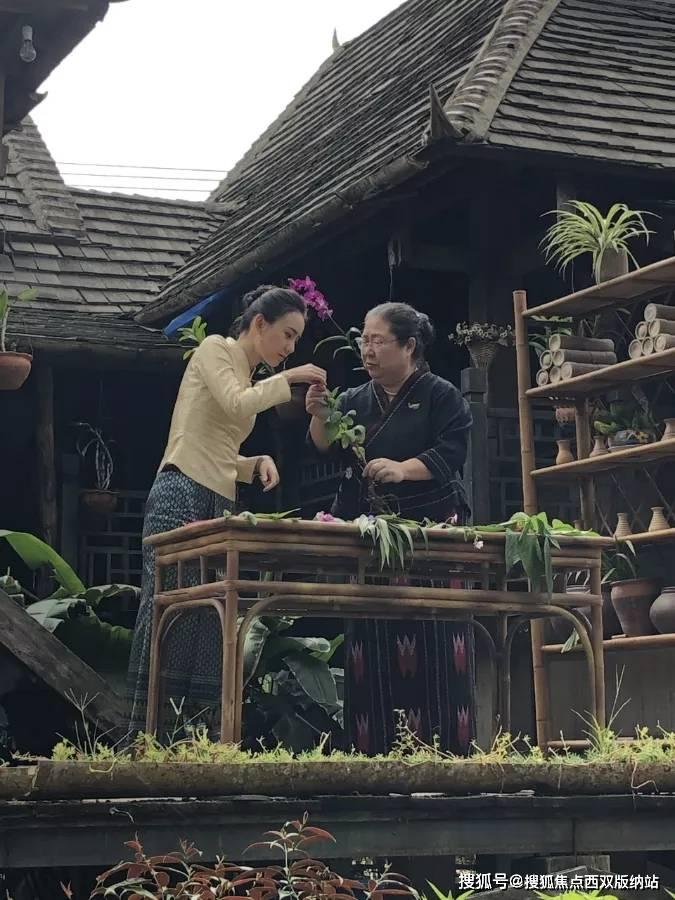绝对完美